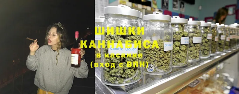 где найти наркотики  Ногинск  Шишки марихуана Bruce Banner 